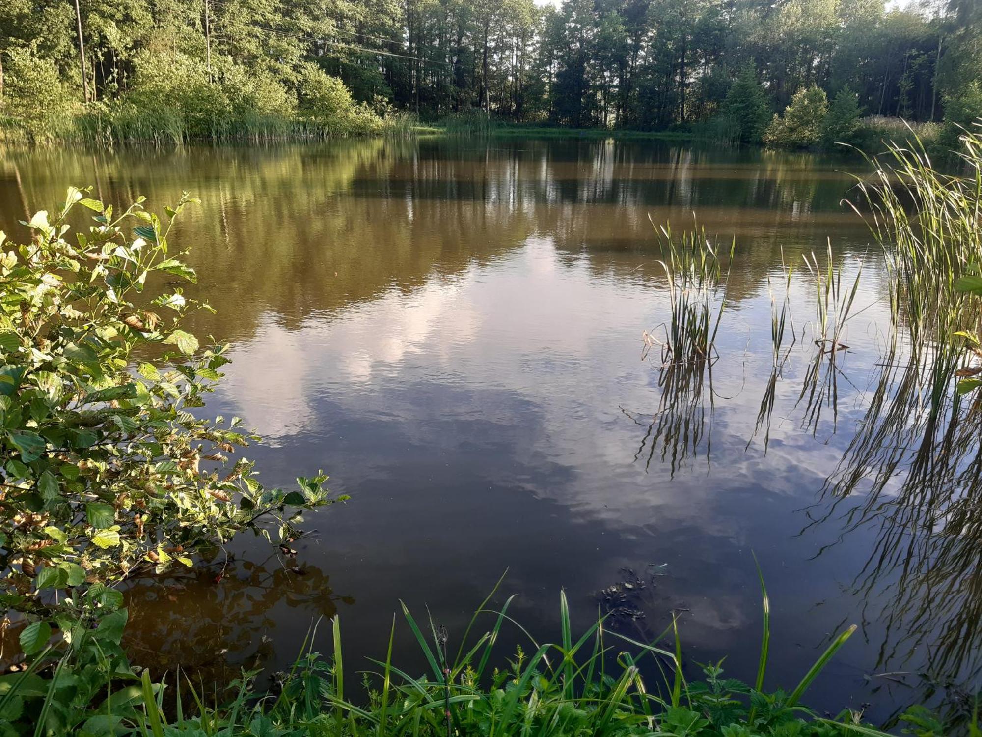 Marcinowka Villa Gołdap Esterno foto
